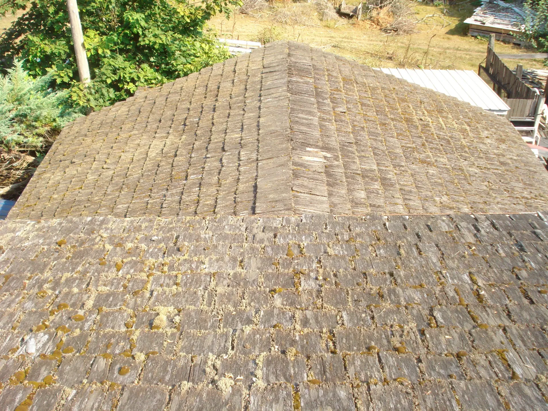 Moss-covered rotting cedar shake roof before replacement in Tacoma, WA
